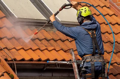 Démoussage et hydrofuge de toiture à Grosbreuil